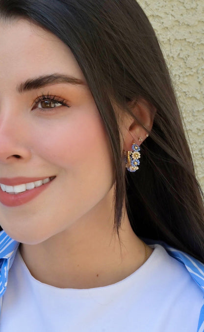 Esthela bicolor hoops