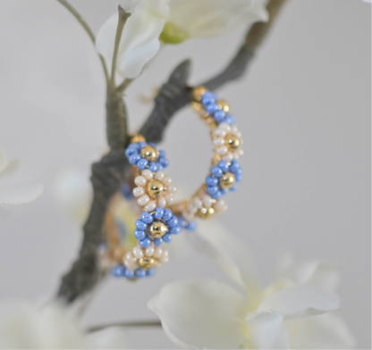 Esthela bicolor hoops